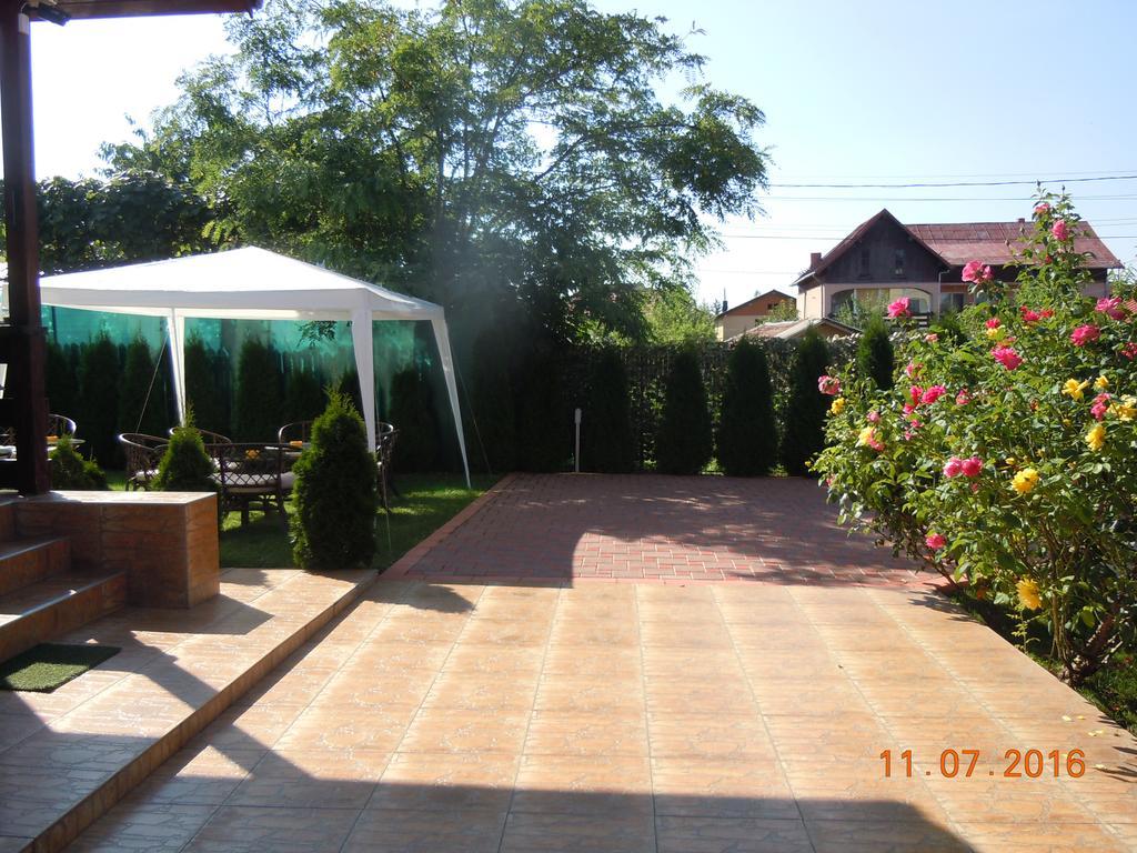 Pensiunea Marina Campina Exterior photo